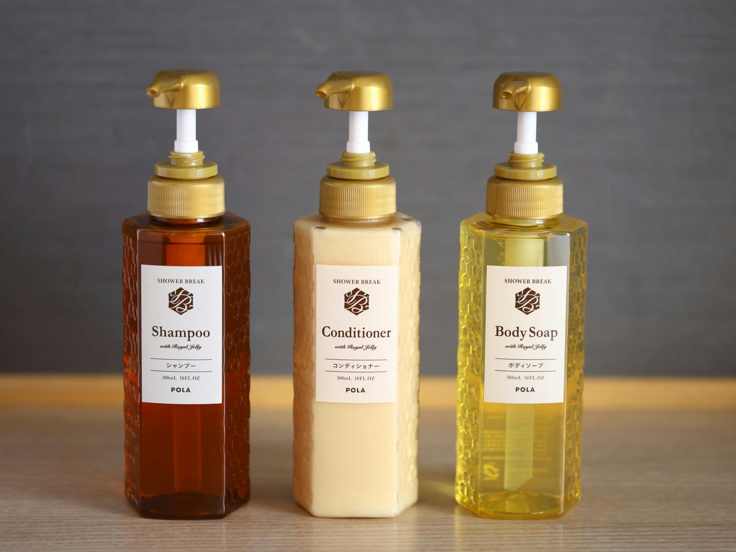 Natural Hot Spring Kinka no Yu Dormy Inn Gifu Ekimae