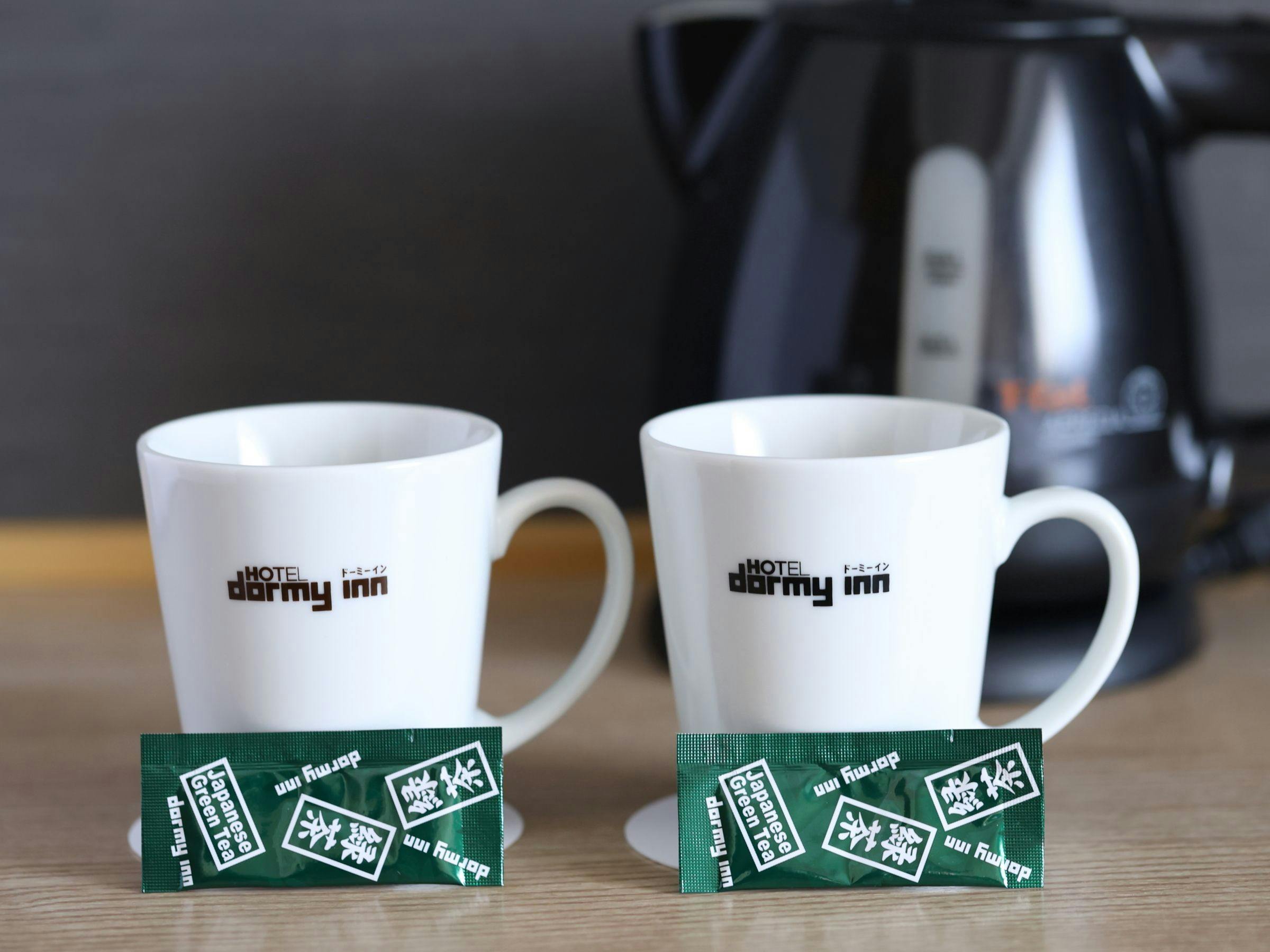 Natural Hot Spring Kinka no Yu Dormy Inn Gifu Ekimae