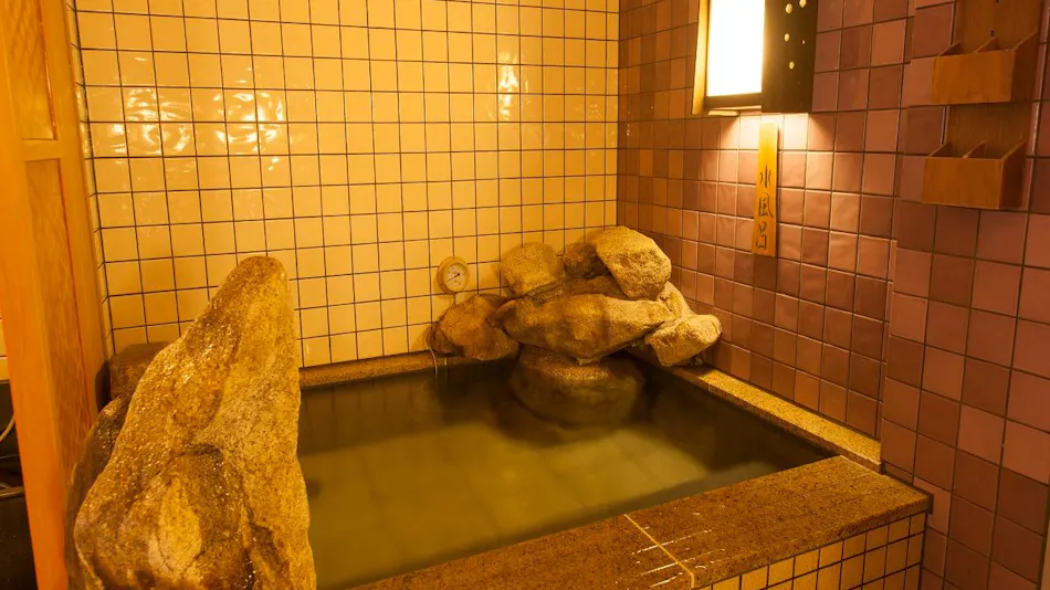 Natural Hot Spring Kinka no Yu Dormy Inn Gifu Ekimae