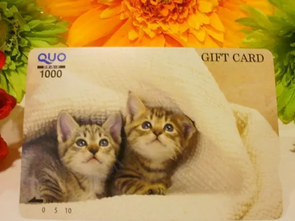 【ECOプロ】【QUOカード1000円付】朝食バイキング付プラン