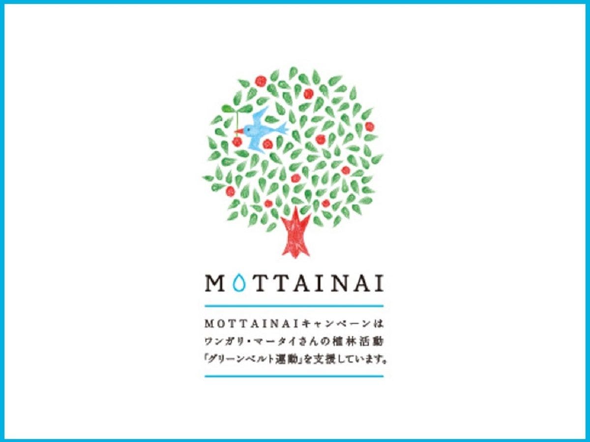 MOTTAINAIから始める！～10本の植樹を叶えるグリーンベルト運動～SDGsプラン＜素泊り＞