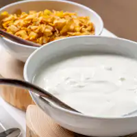 Sarapan (bijirin, yogurt)