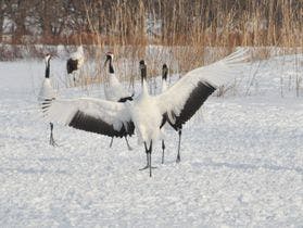 ホテルラッソ釧路byWBF