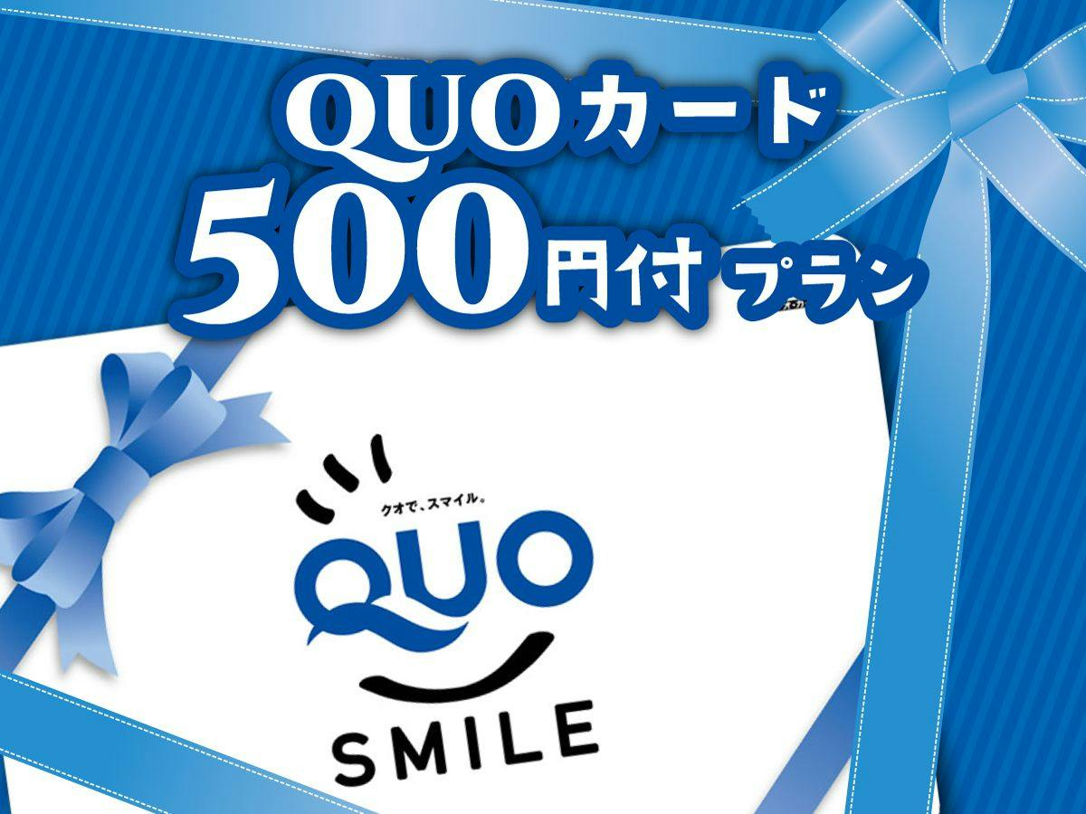 【ビジネス　素泊まり】 QUOカード500円付き！駐車場無料【添い寝不可】