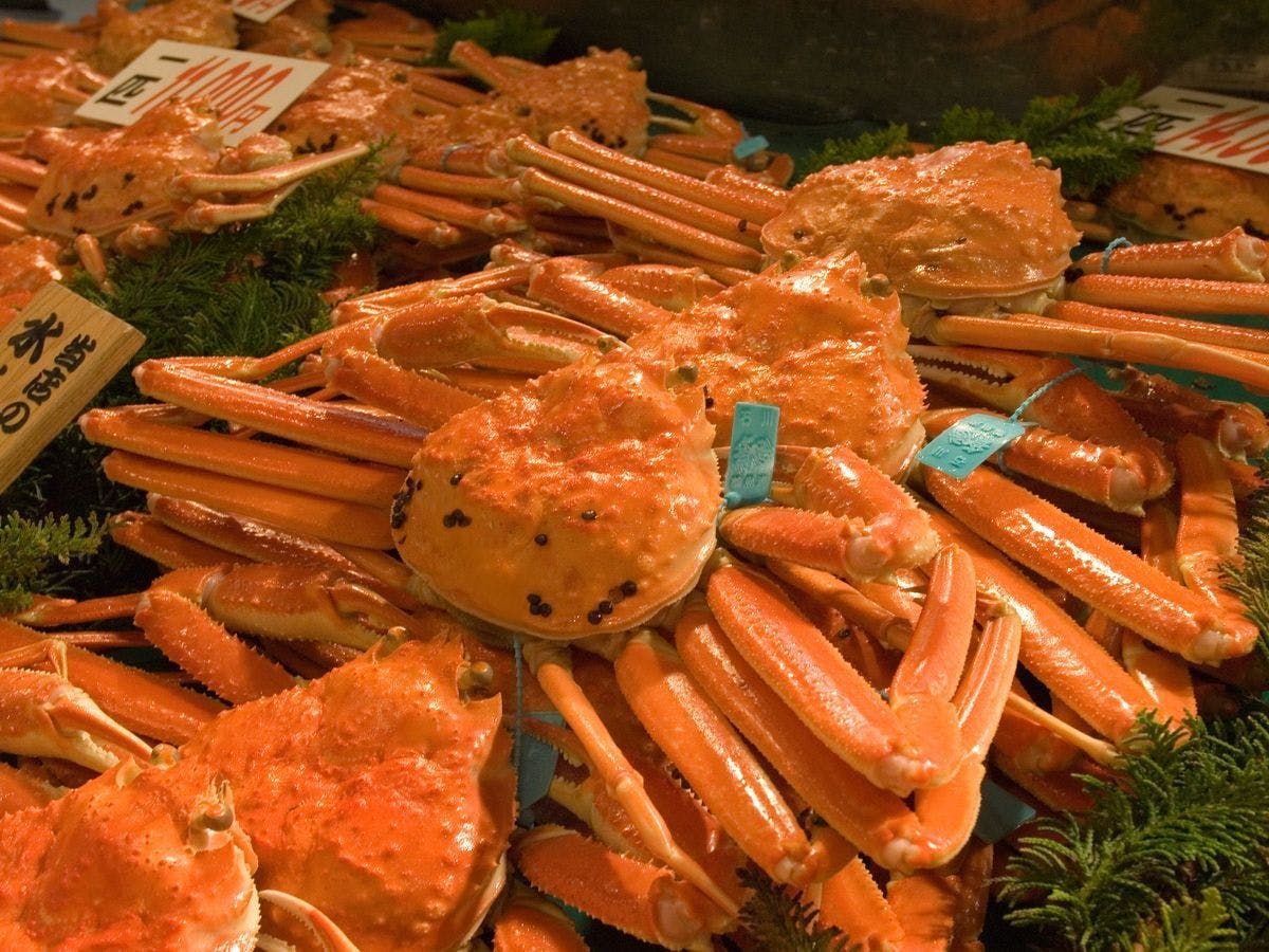 ปูคาโน (ภาพโดย: เมืองคานาซาวะ)