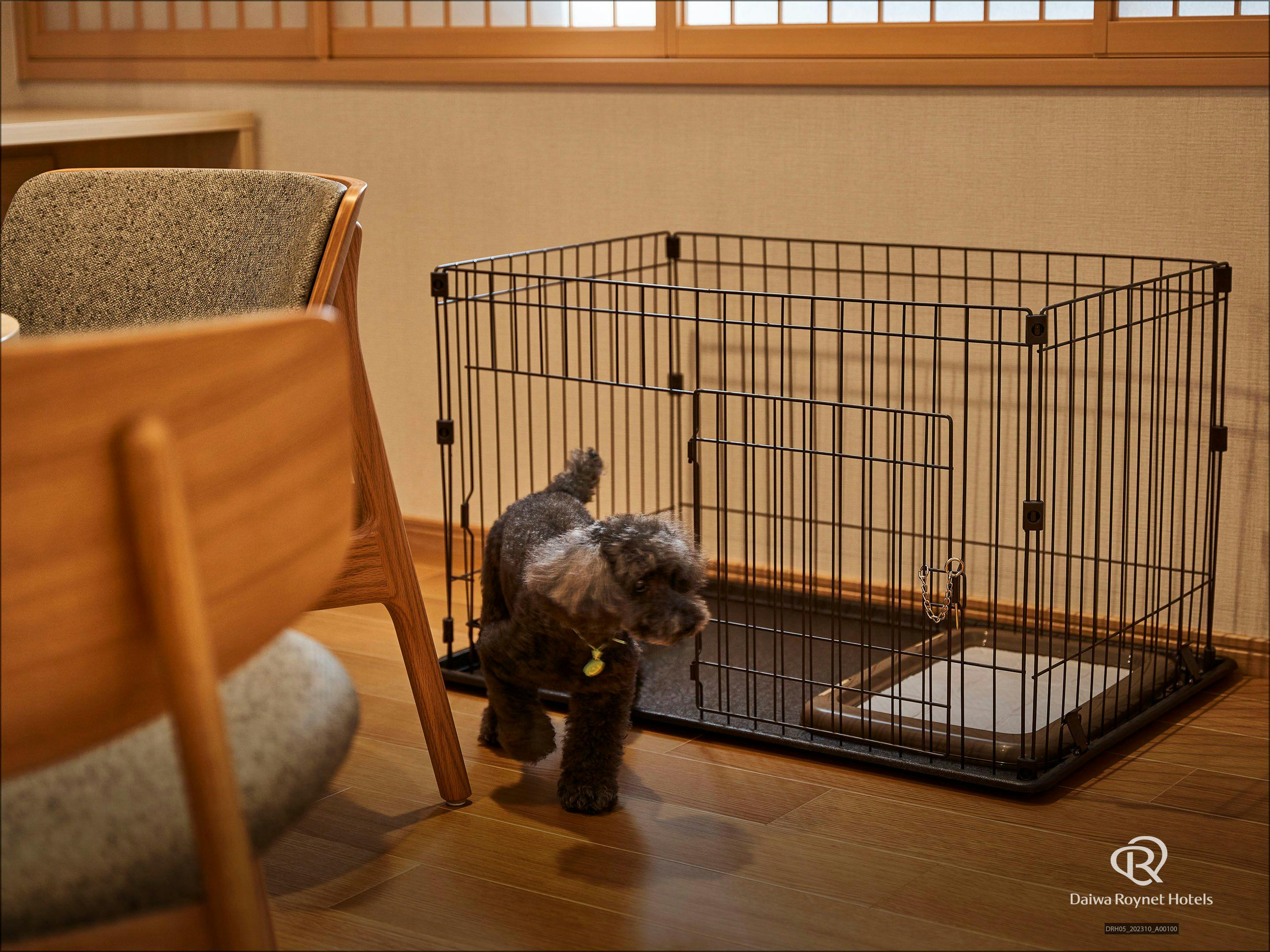 DEL style 大阪心斎橋 by Daiwa Roynet Hotel - 【With Dog】愛犬と