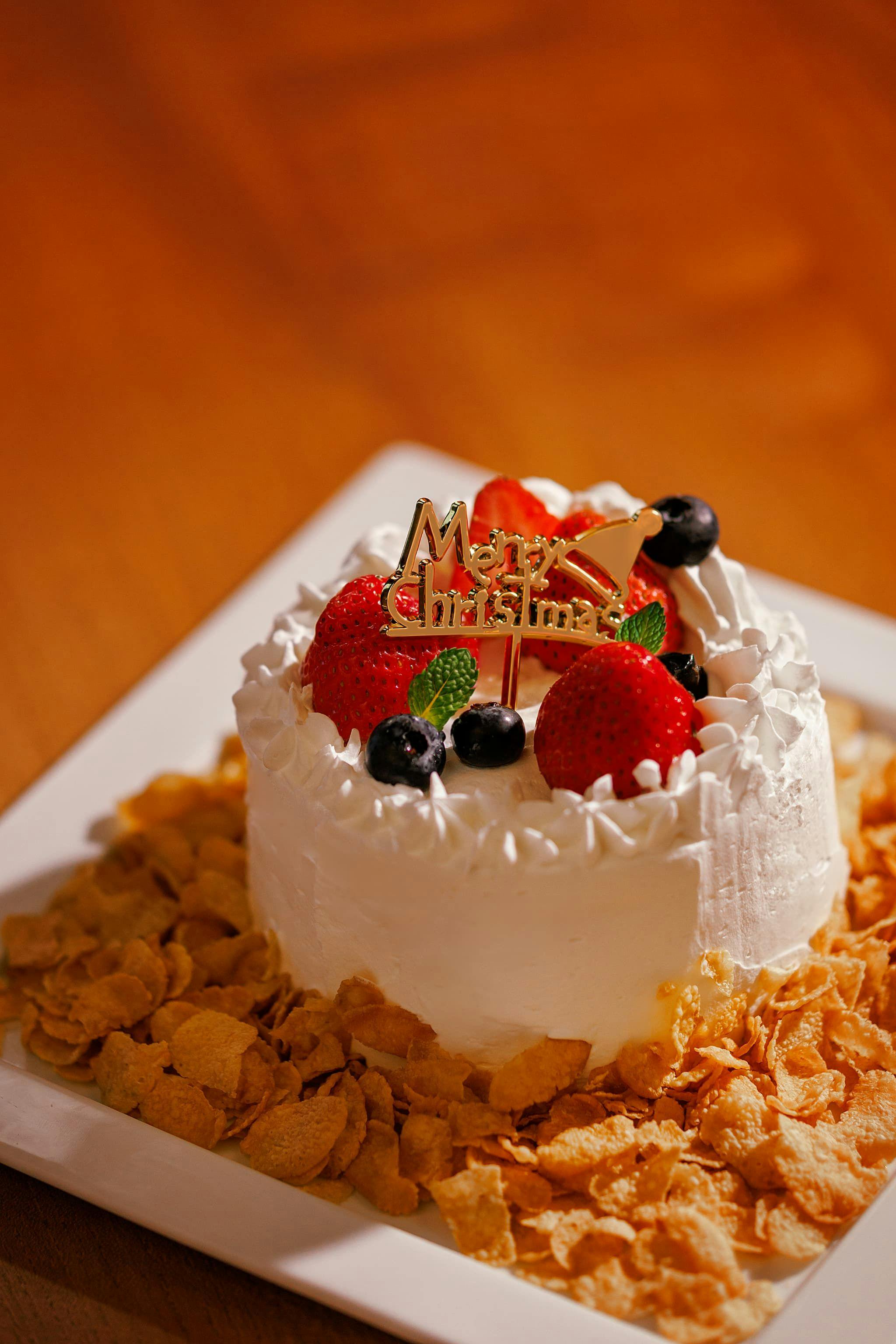 圣诞方案/圣诞蛋糕