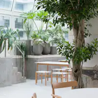 THE POOLSIDE|ภาพถ่ายโดย Gottingham