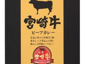 グリーンリッチホテル宮崎橘通2(人工温泉 二股湯の華)