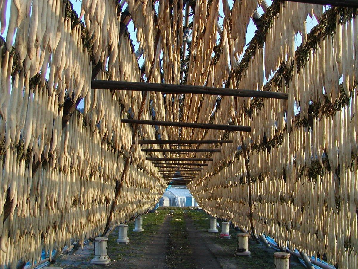 สมาคมการท่องเที่ยวจังหวัดมิยาซากิ