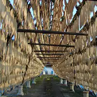 สมาคมการท่องเที่ยวจังหวัดมิยาซากิ