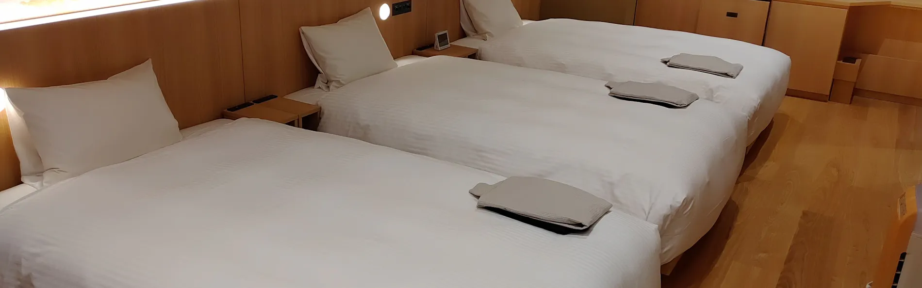 ALA HOTEL KYOTO(アルアホテル京都)