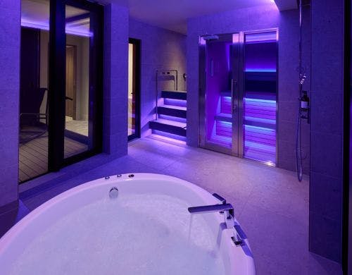 Sauna Twin Suite:客室内のサウナ