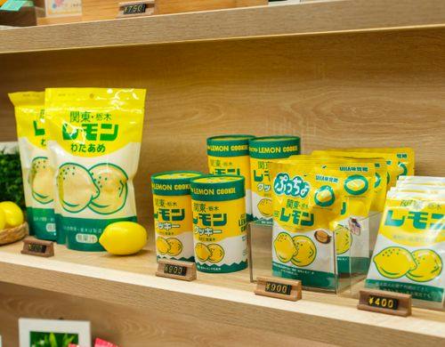 お土産（レモン）
