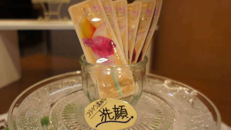 Shizuoka Town Hotel