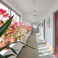 Koridor yang dihiasi anggrek