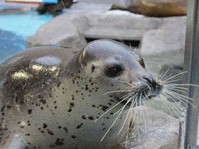 男鹿観光ホテル