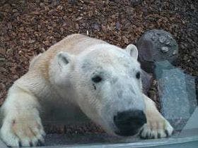 男鹿観光ホテル