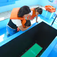 เรือสำราญ