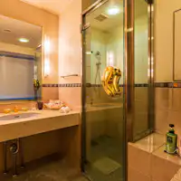 Kamar mandi shower ※Hanya untuk DX Double Room.