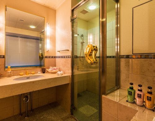 シャワーブース※DXダブルルームのみ