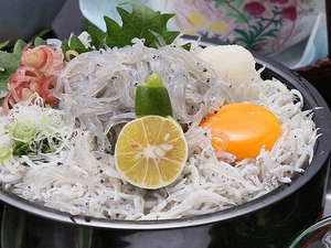 雙層白飯魚蓋飯