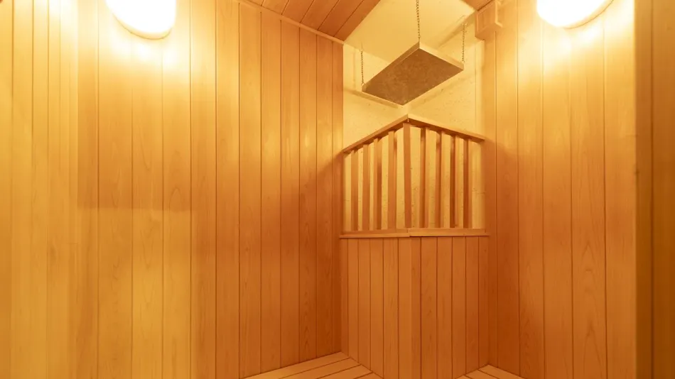 Ooedo Onsen Monogatari Premium Gero Honkan