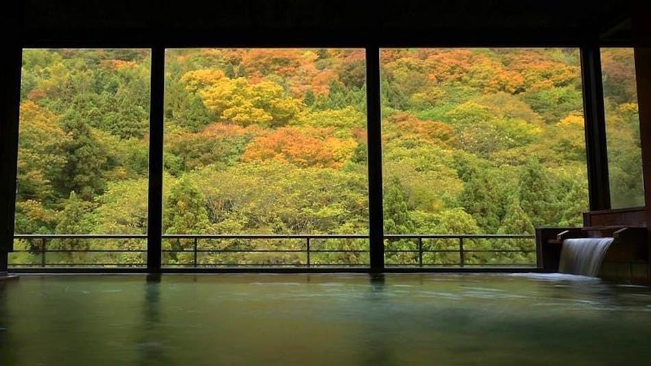 夕食はレストラン 福島の露天風呂ありの カップル 夫婦におすすめのホテル 旅館 お得に宿泊予約 Yahoo トラベル 夕食はレストラン 福島の露天風呂ありの カップル 夫婦におすすめのホテル 旅館 お得に宿泊予約 Yahoo トラベル