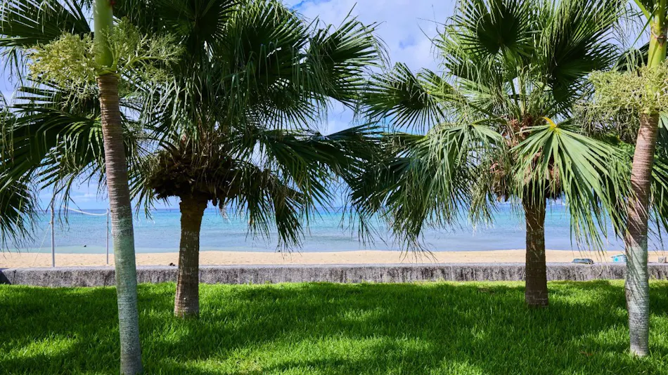 Miyuki Hamabaru Resort