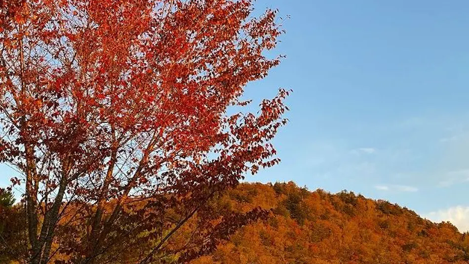 Kyukamura Chausuyama Kogen