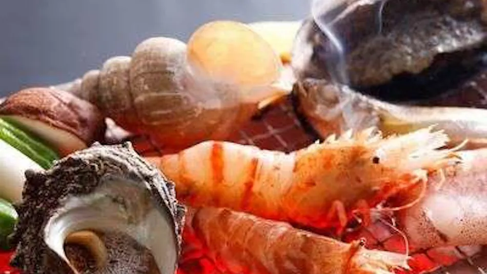 Japanese Ryokan Syofuoso