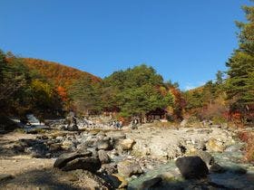 伊東園ホテル草津