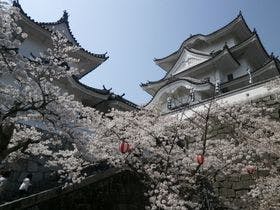 伊賀上野シティホテル