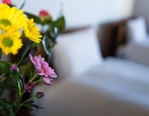 スタンダードツインルーム