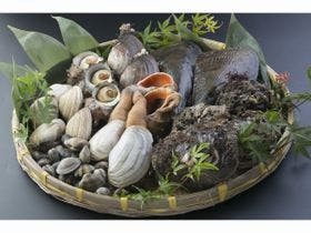 愛知渥美半島 魚と貝のうまい店 お食事・旅館 玉川