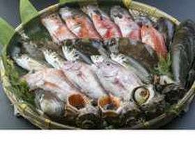 愛知渥美半島 魚と貝のうまい店 お食事・旅館 玉川