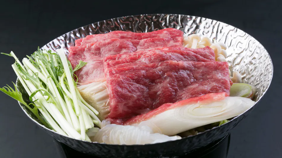 Aichi Atsumi Peninsula Irago Onsen Fish and Shellfish Inn Tamagawa