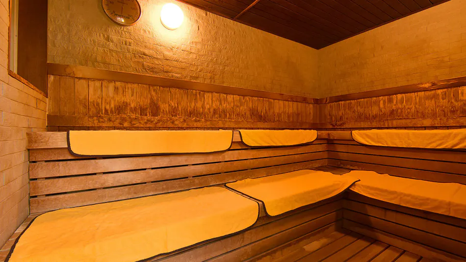Hotel Sun Rural Ogata