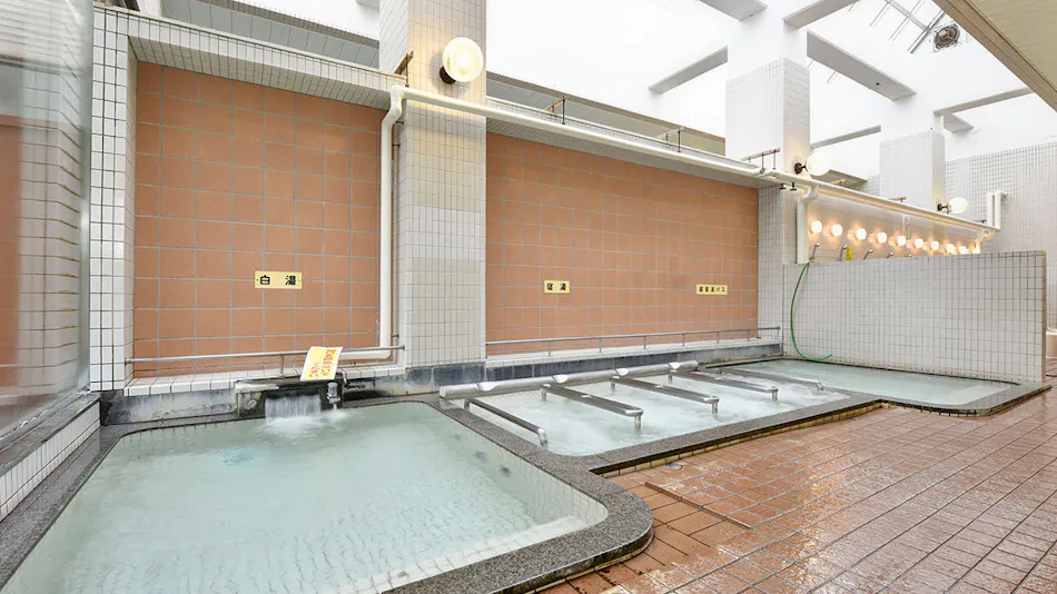 Hotel Sun Rural Ogata