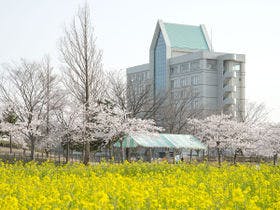 2021年最新 男鹿市宮沢海岸オートキャンプ場 キャンパルわかみ周辺でご家族に人気の宿ランキング Yahoo トラベル