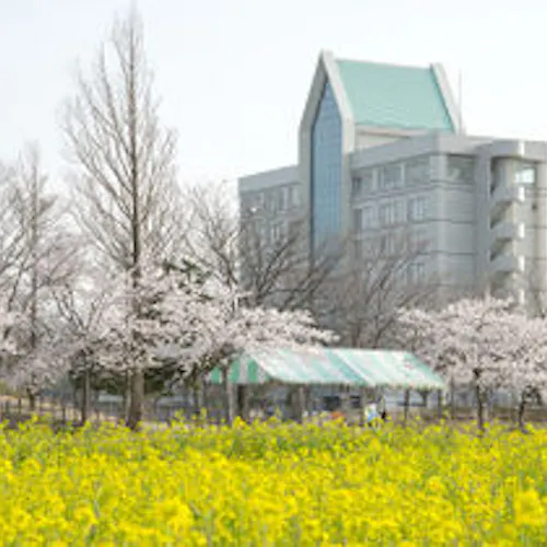 2021年最新 男鹿市宮沢海岸オートキャンプ場 キャンパルわかみ周辺でご家族に人気の宿ランキング Yahoo トラベル