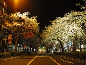 ツーリストホテル日立