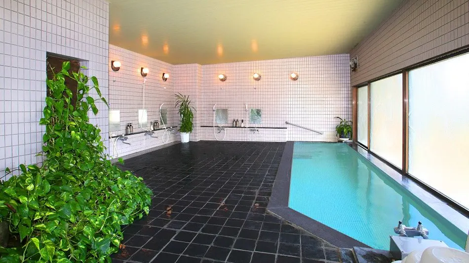 Hotel Silk Inn Madarao