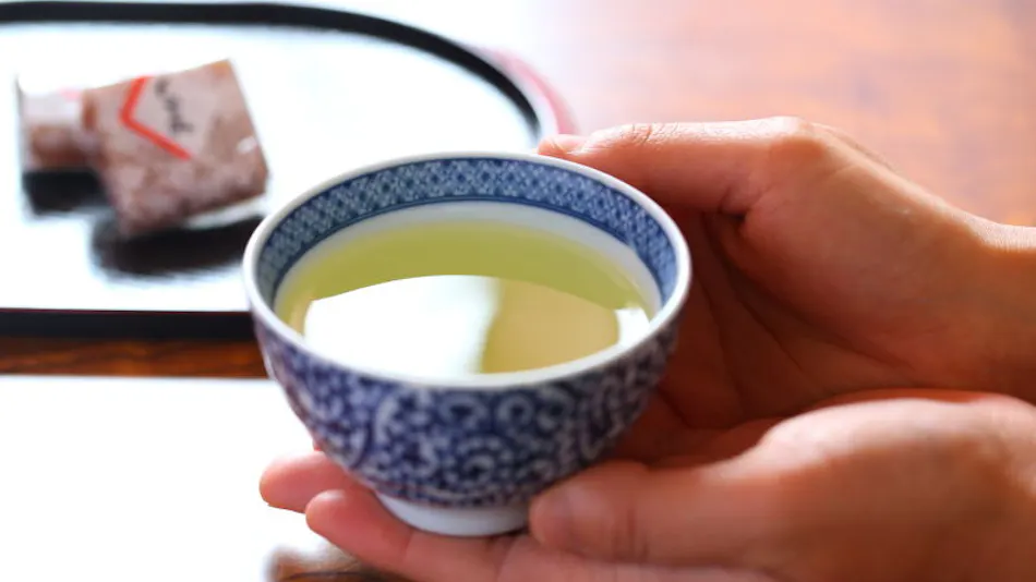 Hotel Silk Inn Madarao