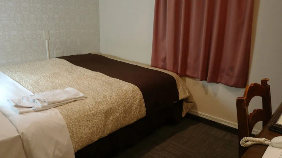 Hamamatsu Station Hotel