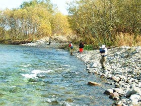 標津川温泉ぷるけの館ホテル川畑