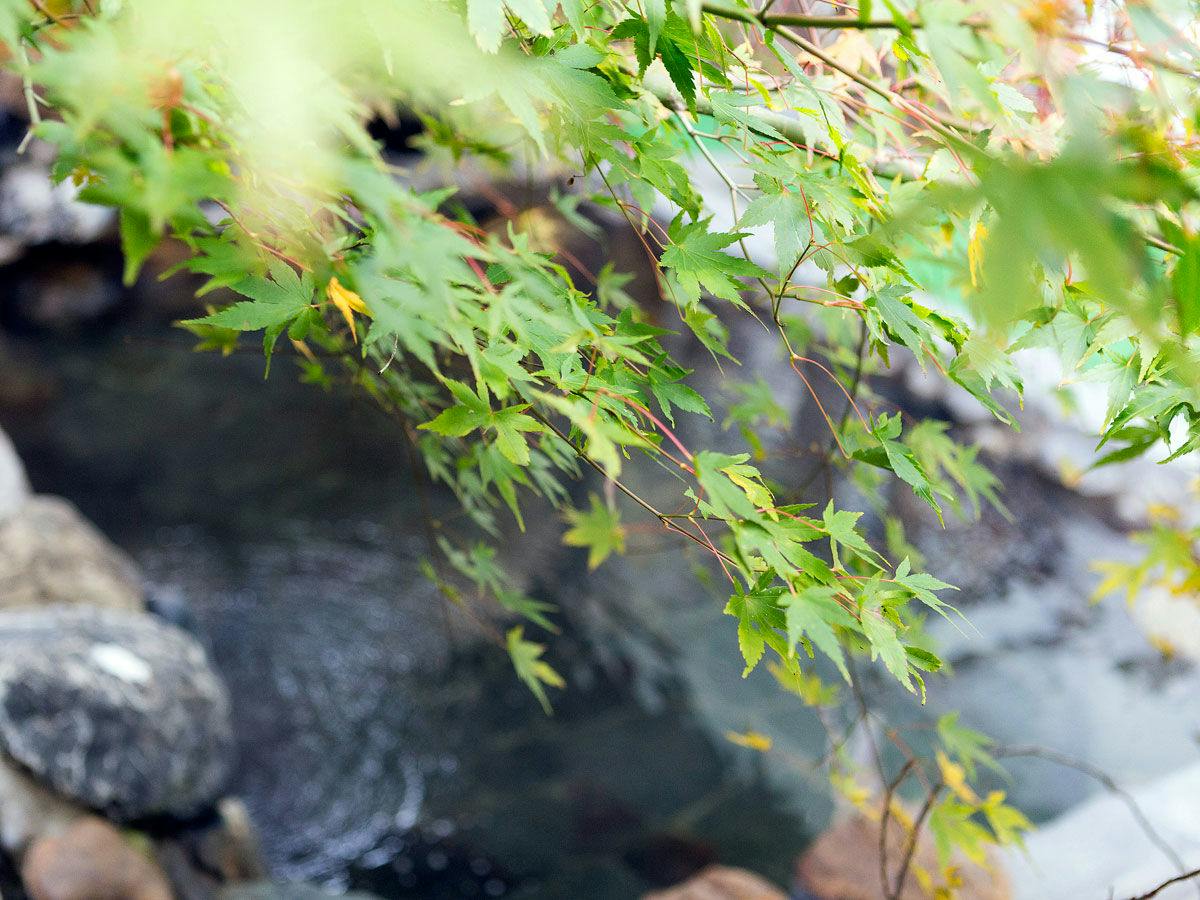 Puruke no Yakata Hotel Kawabata