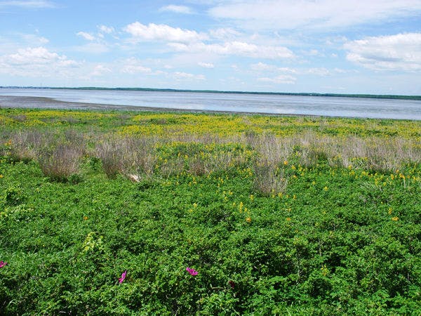 คาบสมุทรโนสึเกะ