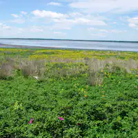 คาบสมุทรโนสึเกะ