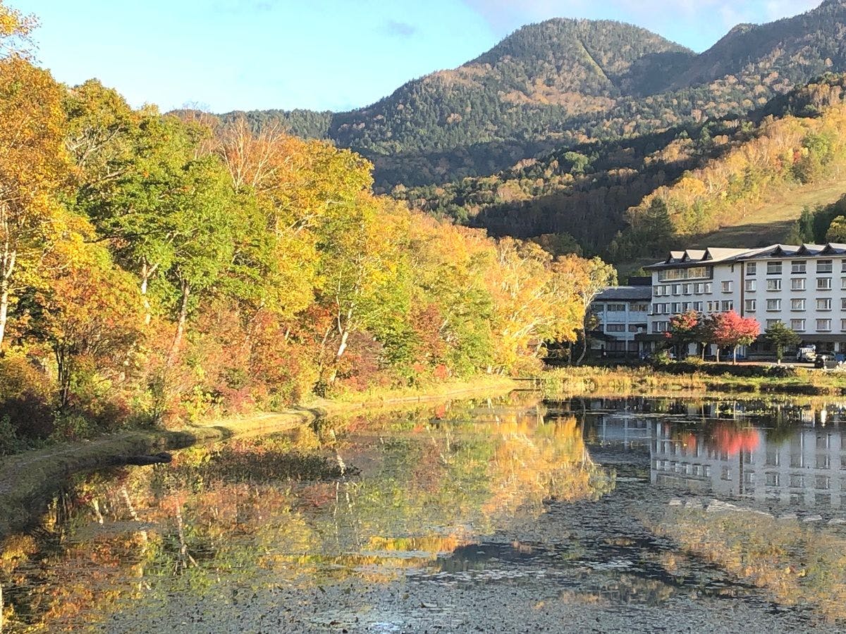 단풍 연못